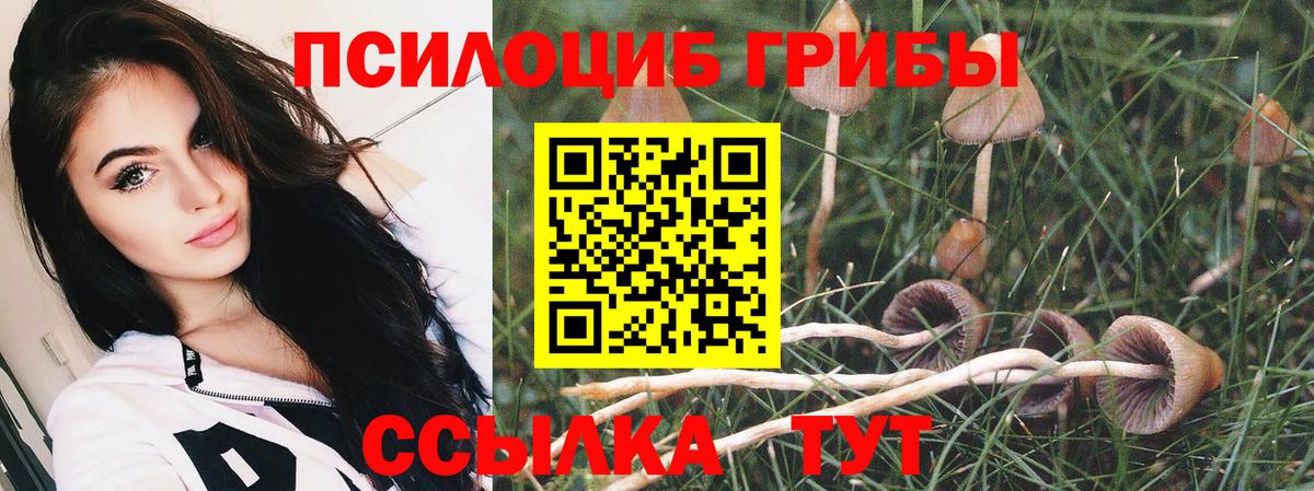 Псилоцибиновые грибы мицелий Советская Гавань