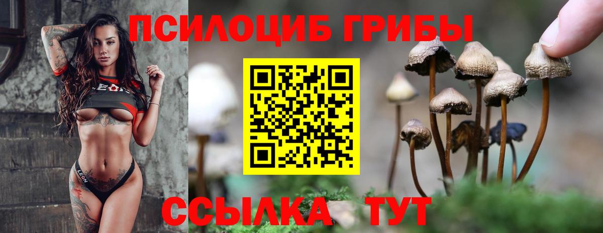 Галлюциногенные грибы ЛСД  Вход с VPN  Псилоцибиновые грибы мухоморы  цена наркотик  Советская Гавань 